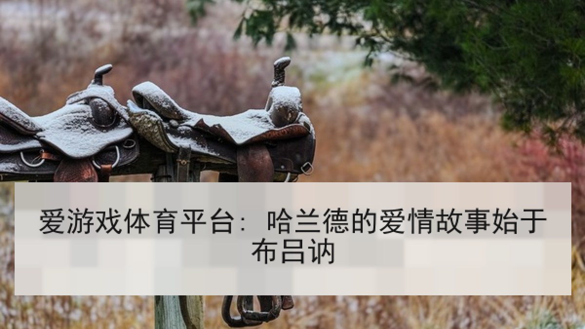 爱游戏体育平台: 哈兰德的爱情故事始于布吕讷 爱游戏体育平台: 哈兰德的爱情故事始于布吕讷
